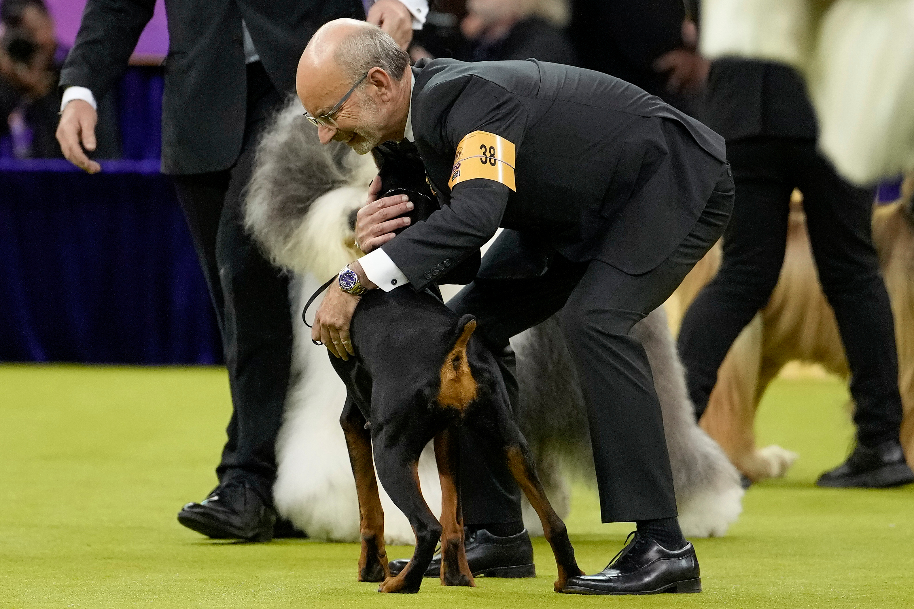 Doberman pinscher named Penny wins best in show at 150th annual Westminster Kennel Club Dog Show