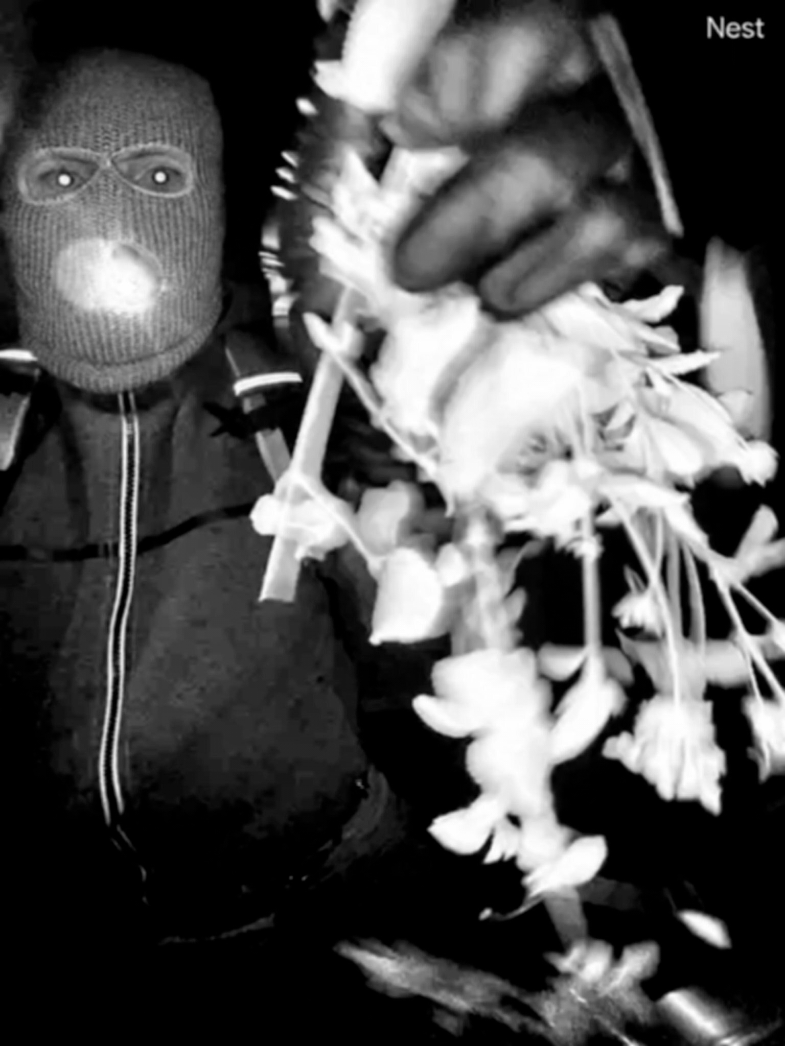 Surveillance image showing a person in a ski mask.