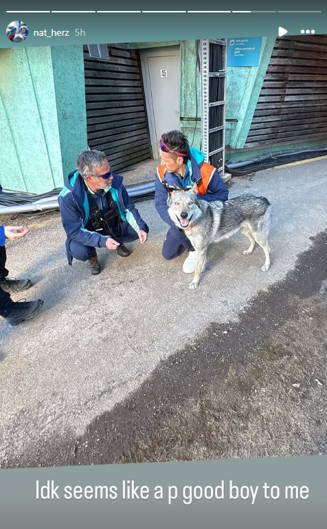 Underdog story: Surprise canine steals show in Olympic cross-country race - National | Globalnews.ca