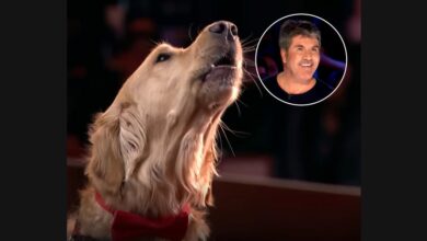 Oscar and Pam Turn an America’s Got Talent Audition into a Piano Duet