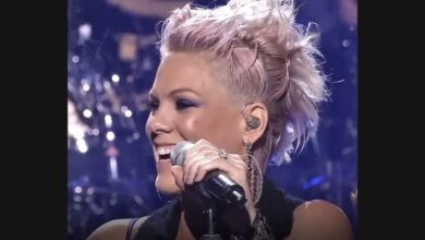 P!nk Performs “Try” Live in Los Angeles