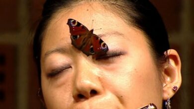 Yukie Ota’s Sancan Sonatine: The Butterfly That Joined the Performance