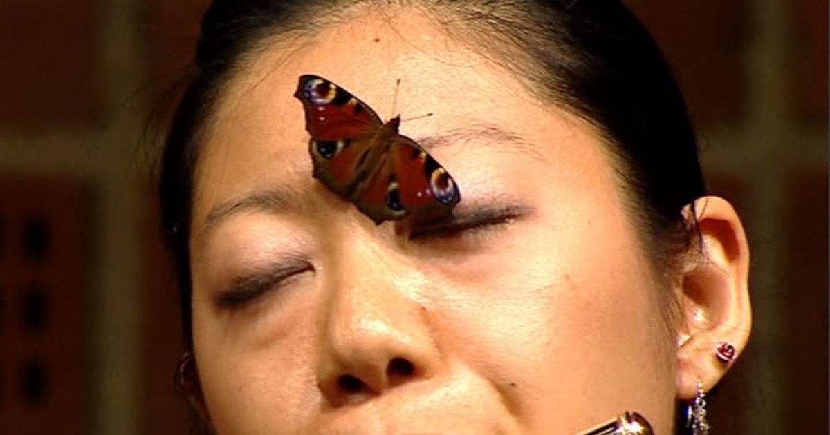 Yukie Ota’s Sancan Sonatine: The Butterfly That Joined the Performance