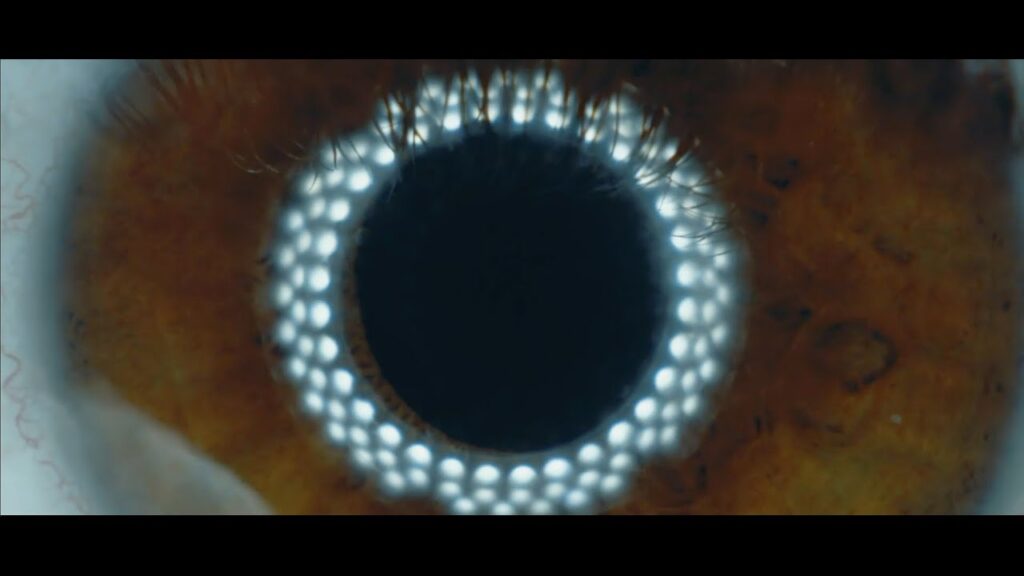 Ho99o9 — official video image for ‘Battery Not Included’